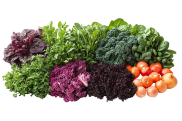A vibrant assortment of fresh vegetables including various greens and tomatoes on a white isolated background.
