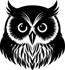 owl on white background