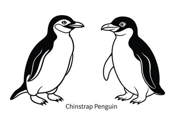 Obraz premium chinstrap penguin outline vector drawing