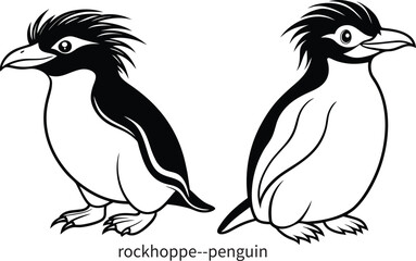 Naklejka premium rockhopper penguin sketch line artwork