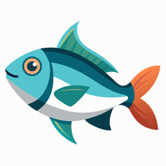 fish on a white background