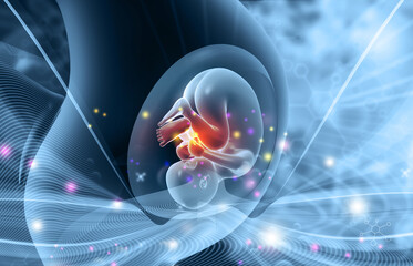 Pregnant women with fetus in digital medical background. 3d illustration..
