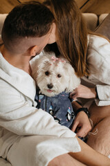 Couple kissing and holding their dog wearing pajamas in hotel room