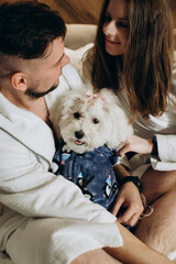 Couple in bathrobes cuddling their dog in hotel room