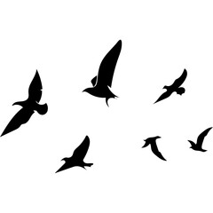 Fototapeta premium Flying Birds Silhouette
