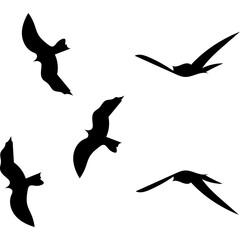 Flying Birds Silhouette