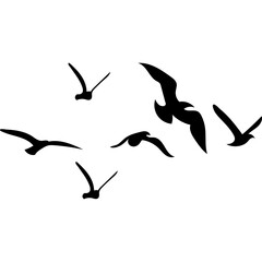 Flying Birds Silhouette