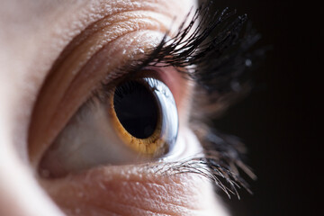 Macro shots of human eyes. Shallow DOF. Developed from RAW; retouched with special care and...