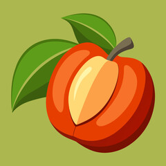 vector illustration of an orange