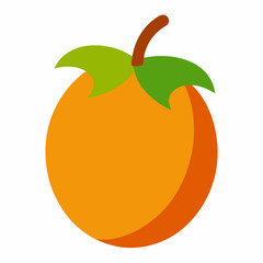 orange isolated on white