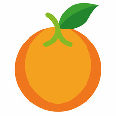 vector illustration of orange