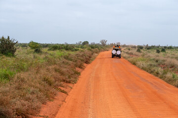 samoch&oacute;d z turystami na safari, Czerwona droga biegnąca przez sawannę w Park Narodowy Tsavo i rezerwat wzg&oacute;rz Taita, Kenia