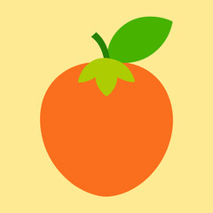 vector illustration of an orange