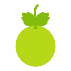 vector illustration of an apple