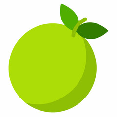 vector illustration of an apple