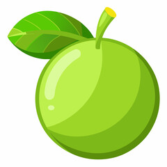 green apple vector illustration