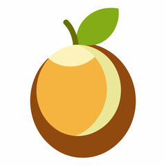 vector illustration of orange fruit