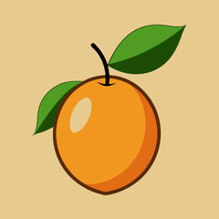 vector illustration of an orange