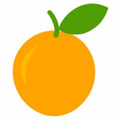 orange fruit vector illustration