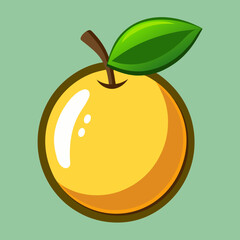 vector illustration of an apple