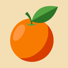 vector illustration of an orange