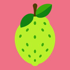 vector illustration of an apple