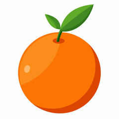 orange fruit vector illustration