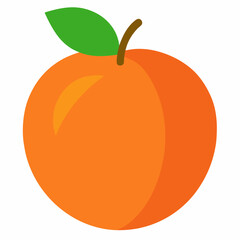 vector illustration of an orange fruit