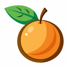 vector illustration of an orange