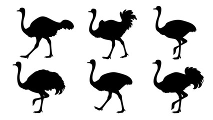 set of ostrich silhouette vector on white background