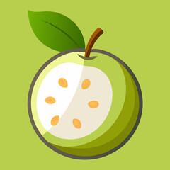 vector illustration of an apple