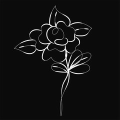 Elegant White Line Art Flower on Black Background