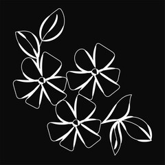 Elegant White Flowers and Leaves on Black Background