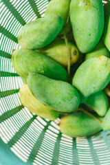  Mango collected in a crate..