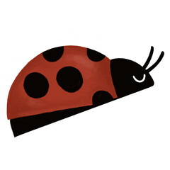 Cute Ladybug Illustration – Hand-drawn Forest Insect for Kids