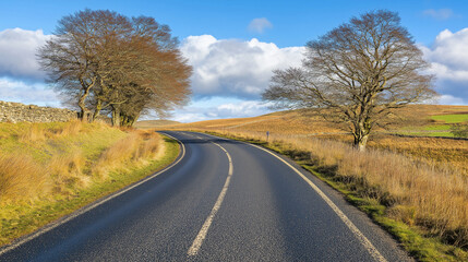Fototapeta premium Country Road Winding Through Landscape: A picturesque country road winds its way through a serene landscape under a vibrant blue sky. The road is flanked by fields of golden grass and leafless trees.