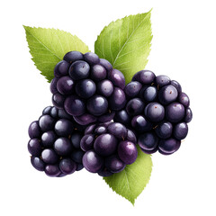 Fototapeta premium Fresh blackberries with green leaves, perfect for healthy recipes. isolated against a transparent background.