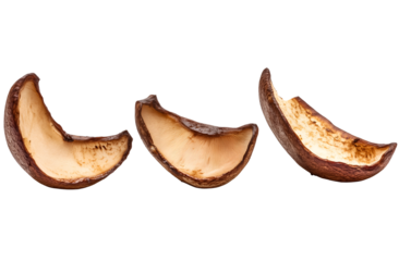 Coconut Shell Fragments: Discover the natural beauty of coconut shell fragments. Each piece showcases unique textures and warm tones.