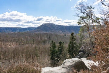 Leafless valley forest between the mountains with cloudy sky