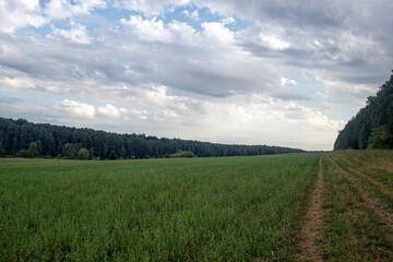 Dirt road in the countryside on a cloudy day