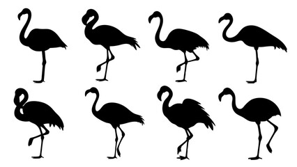 set of flamingo silhouette vector on white background