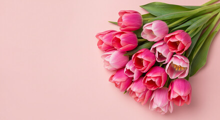 Fototapeta premium Tulip Bouquet on Pink Background Fresh Spring Flowers