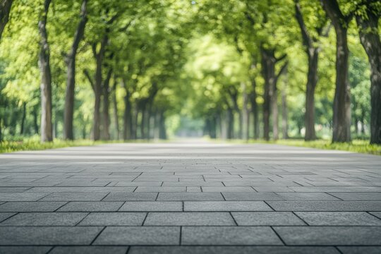 Empty paved path extending through lush green trees in park