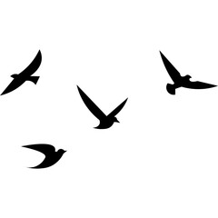 Obraz premium Flying Birds Silhouette