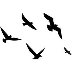 Flying Birds Silhouette