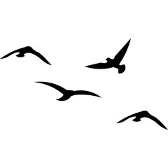 Flying Birds Silhouette