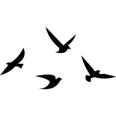 Flying Birds Silhouette