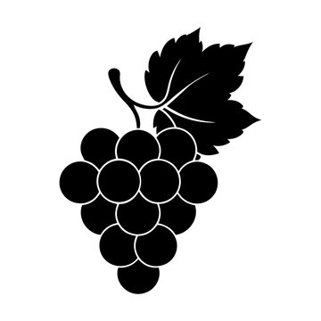 black grapes bunch with leaf clip art preview