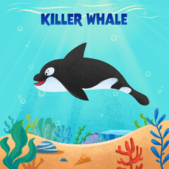 killer whale cartoon in the sea cute illustration