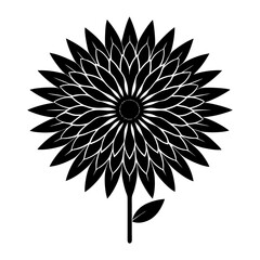 Black silhouette of thin-petaled aster flower vector illustration